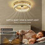 Quite Ceiling Fans with Lights and Remote Smart