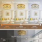 Quite Ceiling Fans with Lights and Remote Smart