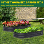 Raised Beds for Garden 2pcs Galvanised Planters