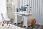 Deluxe Design Computer Desk with Cabinet and 3