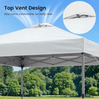 Raynesys Pop Up Canopy Tent for 10 Person