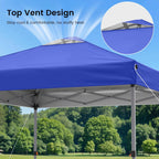 Raynesys Pop Up Canopy Tent for 10 Person