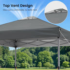 Raynesys Pop Up Canopy Tent for 10 Person
