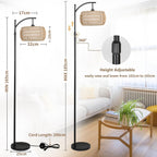 Rayofly Arc Floor Lamp for Living Room Dimmable