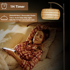 Rayofly Arc Floor Lamp for Living Room Dimmable