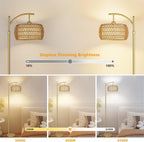Rayofly Arc Floor Lamp for Living Room Dimmable