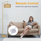 Rayofly Arc Floor Lamp for Living Room Dimmable