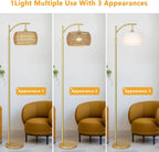 Rayofly Arc Floor Lamp for Living Room Dimmable