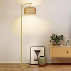 Rayofly Arc Floor Lamp for Living Room Dimmable
