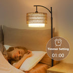 Rayofly Arc Floor Lamp for Living Room Dimmable