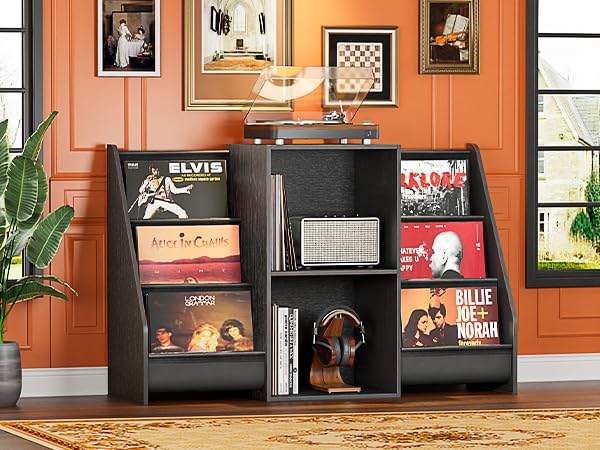Record Player Stand with Vinyl Storage for 350