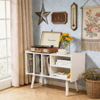 Record Player Stand with Vinyl Storage Holds Up