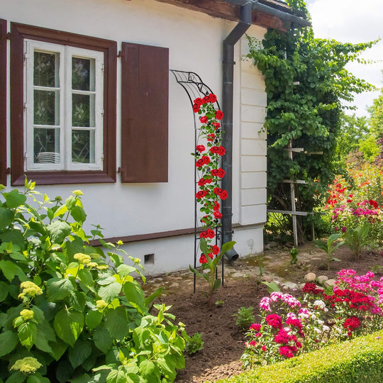 Round Plant Support Wall-Mounted Garden Arch Trellis