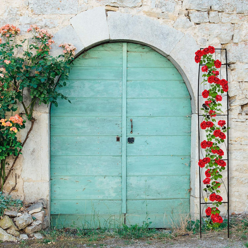 Round Plant Support Wall-Mounted Garden Arch Trellis