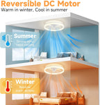 Reversible Quiet Ceiling Fans with Lights and Remote