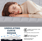 Roll Up Floor Mattress