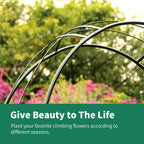 Rose Arch Arbour 87"h X 45"w Iron Curved