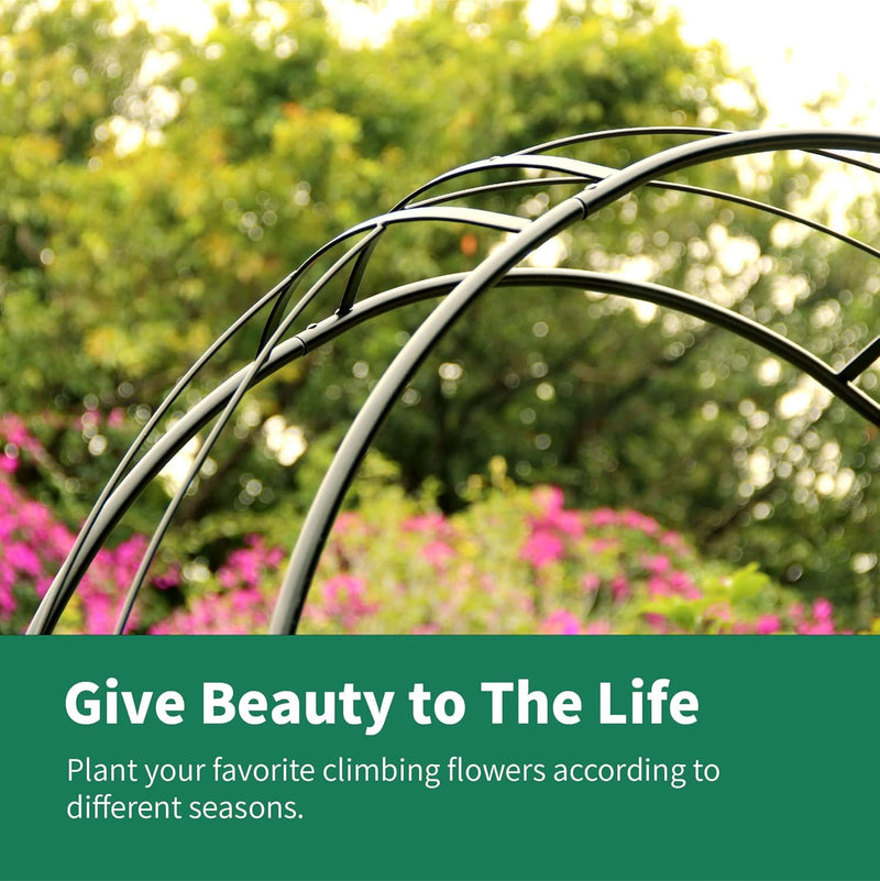 Rose Arch Arbour 87"h X 45"w Iron Curved