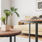 Round Nesting Coffee Table End for Living Room (Set of 2)