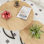 Round Nesting Coffee Table End Tables for Living (Set of 2)