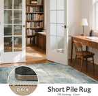 Rug Living Room Large Modern Abstract Area