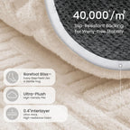 Rugs for Living Room
