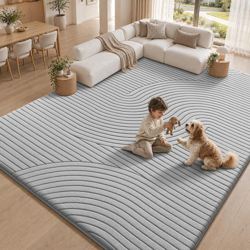 Rugs for Living Room