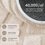 Rugs for Living Room