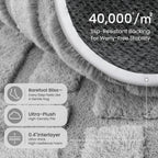 Rugs for Living Room