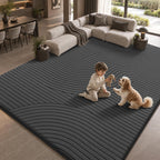Rugs for Living Room