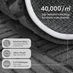Rugs for Living Room