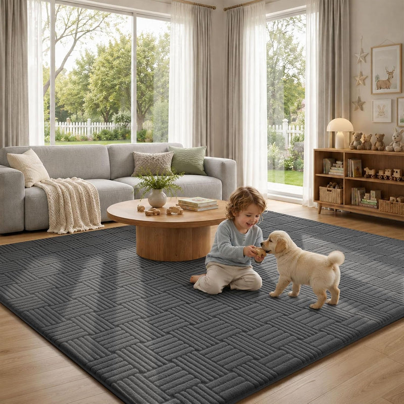 Rugs for Living Room