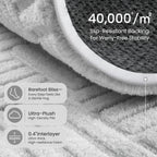 Rugs for Living Room