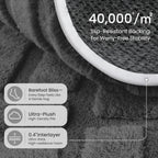 Rugs for Living Room
