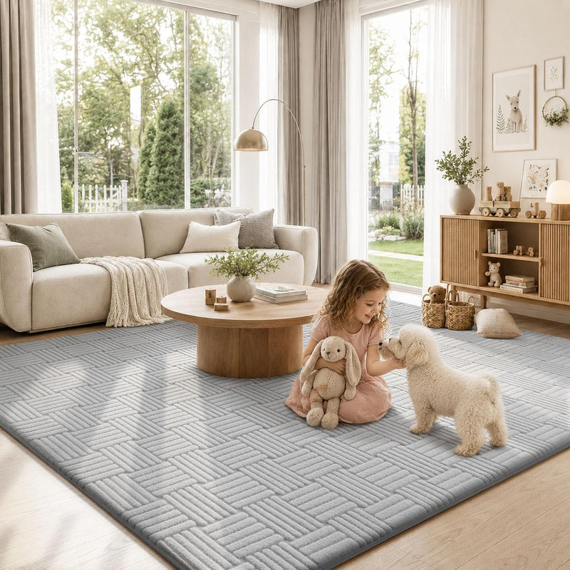 Rugs for Living Room