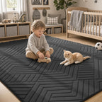 Rugs for Living Room