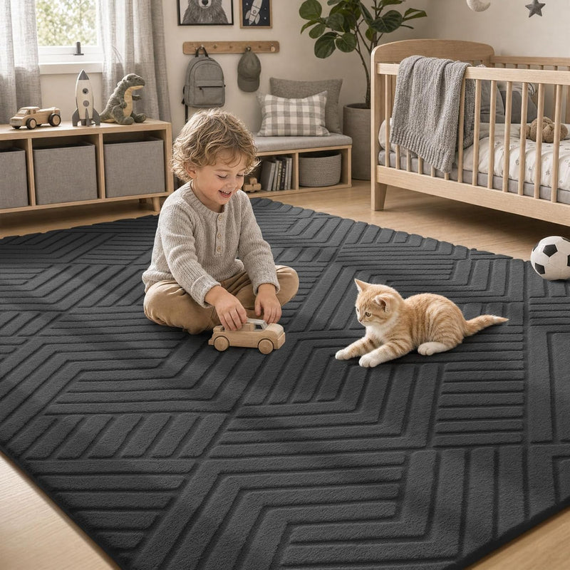 Rugs for Living Room