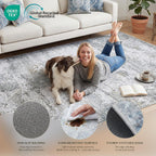 Rugs for Living Room Bedroom Extra Large