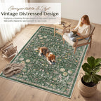 Rugs for Living Room Bedroom Extra Large