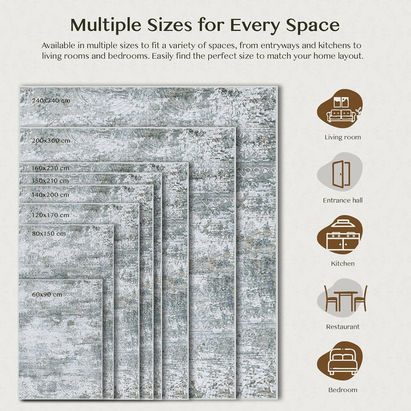 Rugs for Living Room Bedroom Extra Large