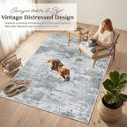 Rugs for Living Room Bedroom Extra Large