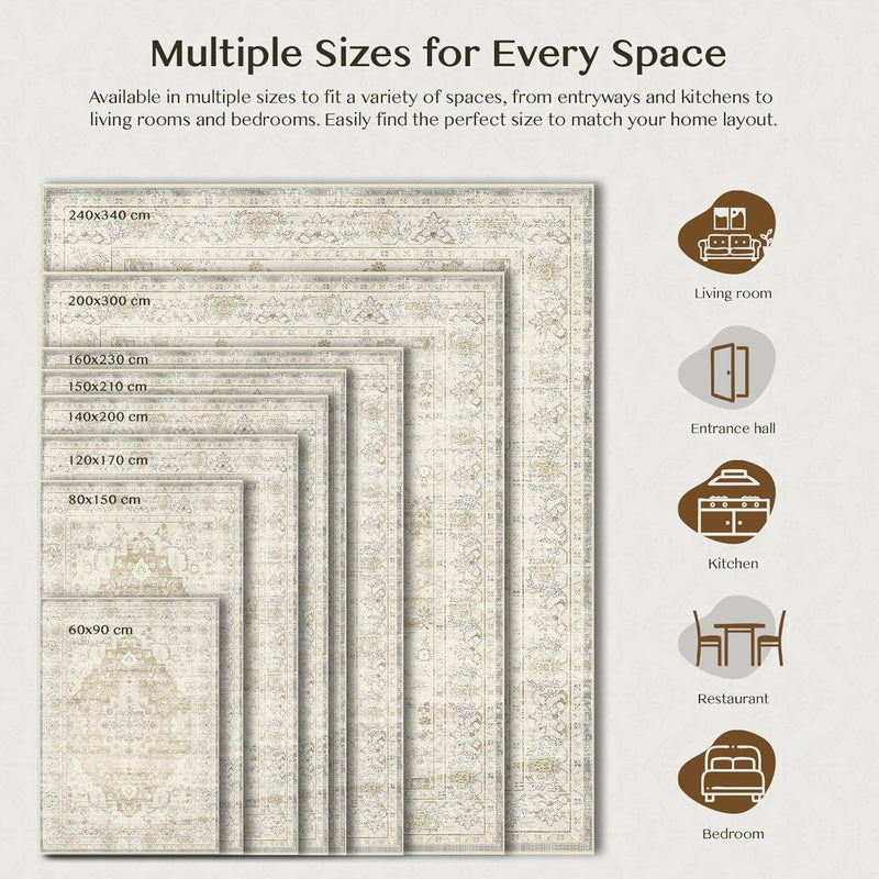 Rugs for Living Room Bedroom Extra Large