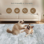 Rugs for Living Room Bedroom Extra Large