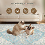 Rugs for Living Room Bedroom Extra Large