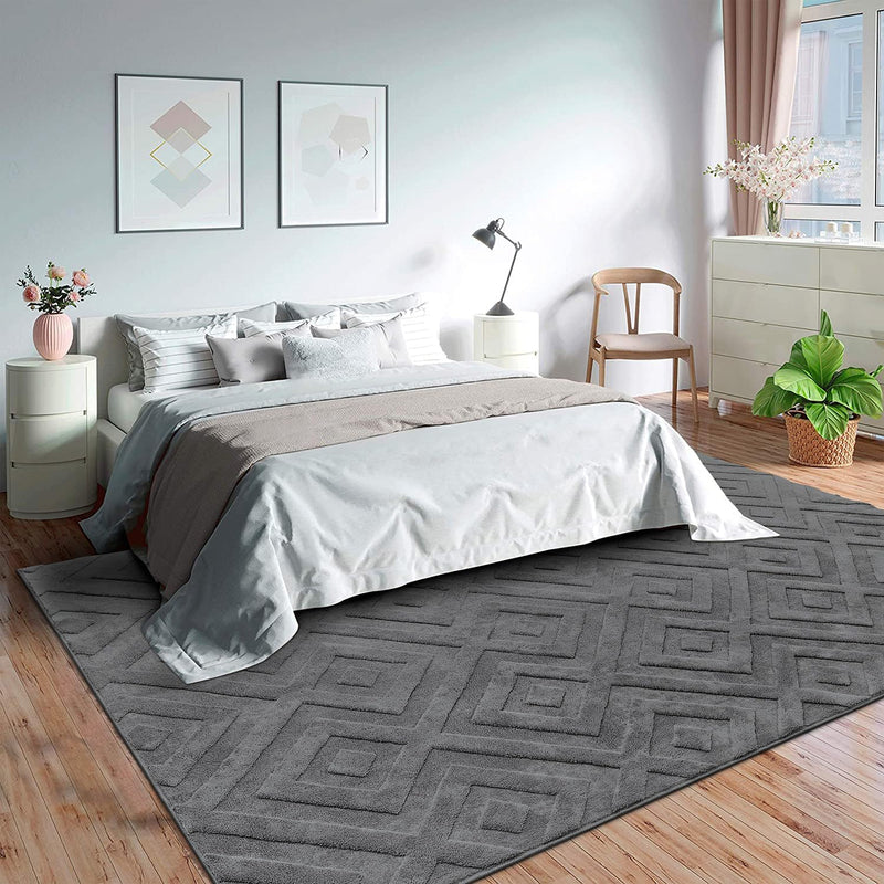 Washable Rugs Living Room Large Soft
