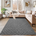 Washable Rugs Living Room Large Soft