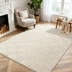 Rugs Living Room Washable Soft Fluffy Area