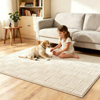 Rugs Living Room Washable Soft Fluffy Area