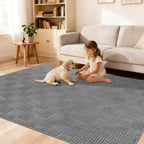 Rugs Living Room Washable Soft Fluffy Area