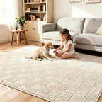 Rugs Living Room Washable Soft Fluffy Area